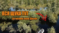 ВСЯ РИБА В ЗАТОПЛЕНОМУ ЛІСІ. Пошук щуки з човна 2023