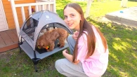 КАНІКУЛИ Насті на дачі Складаємо БАТУТ Їдемо до моря ВЛОГ My Family Life