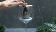 Серія 677