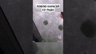 Ловлю карасей со льда