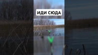 Ловля карася на поплавок