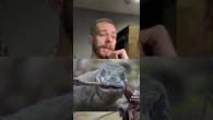 Шкіра за яку Вас можуть вбити