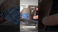 2 франкенштейна