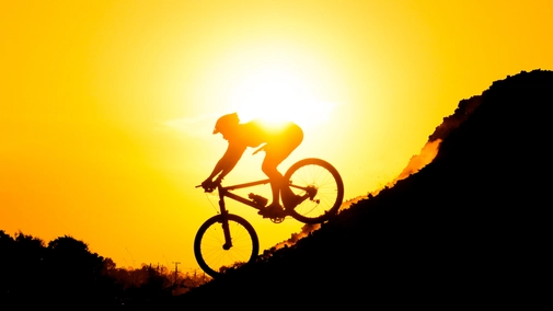 Mountain Bike World Championships. Valais
