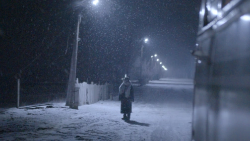 Вой волков в ночи