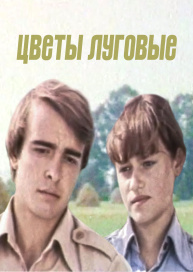 Цветы луговые