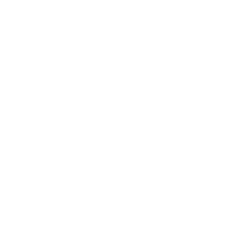 Телеканал Прямий