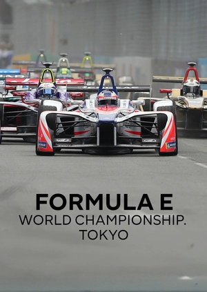 Formula E World Championship. Tokyo