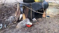 Люди гірші за тварин