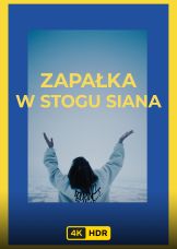 Zapałka w stogu siana UHD HDR — plakat