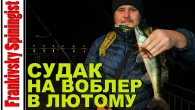 Дружня риболовля на вечірнього судака | Мороз тисне, а риба активно клює на воблер