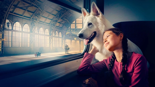 The Dog Who Travelled by Train UHD HDR