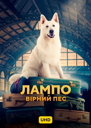 Лампо: Вірний пес UHD