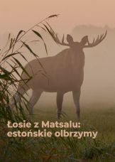 Łosie z Matsalu: estońskie olbrzymy — plakat