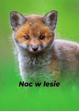 Noc w lesie