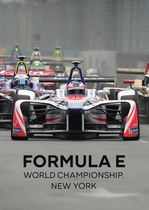 Formula E World Championship. New York