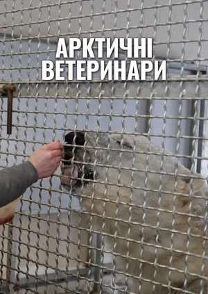 Арктичні ветеринари