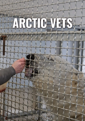 Arctic Vets