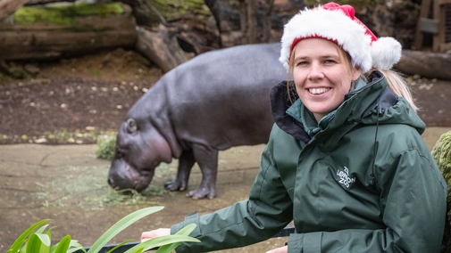 London Zoo at Christmas