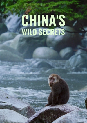 China's Wild Secrets