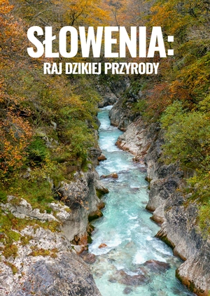 Słowenia: raj dzikiej przyrody