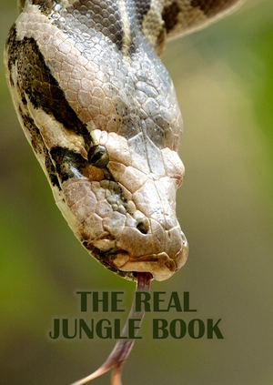 The Real Jungle Book