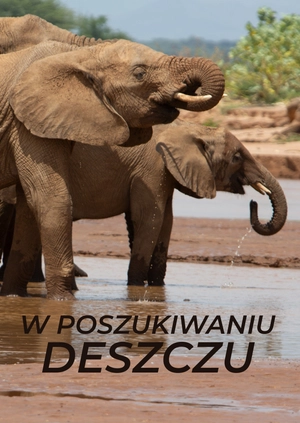 W poszukiwaniu deszczu