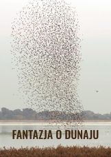 Fantazja o Dunaju — plakat