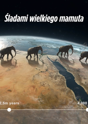 Śladami wielkiego mamuta