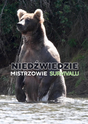 Niedźwiedzie - mistrzowie survivalu
