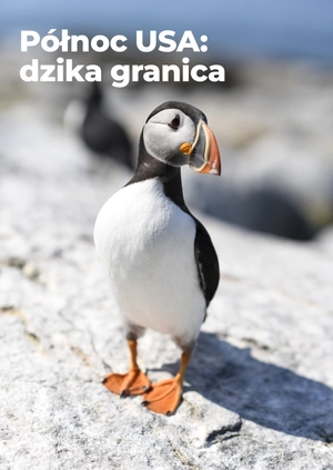 Północ USA: dzika granica
