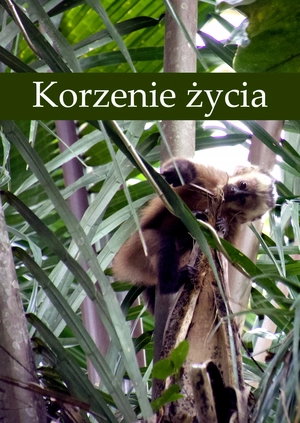 Korzenie życia