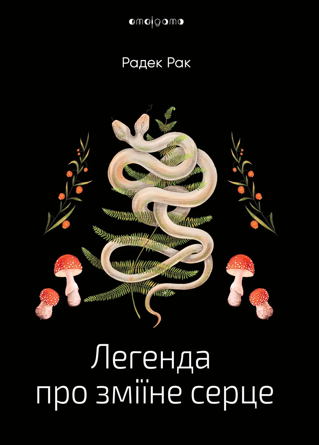 Обкладинка "Легенда про зміїне серце"