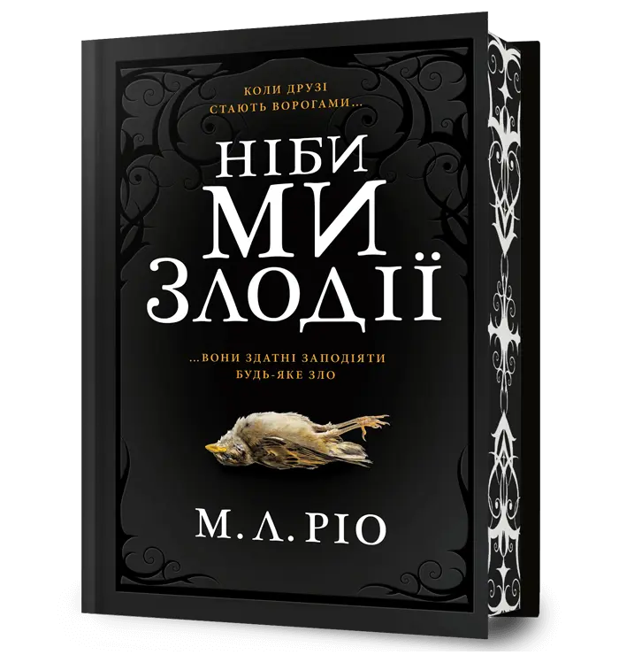 Обкладинка "Ніби ми злодії"