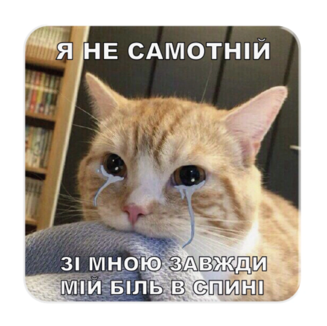 3D стікер «Самотній кіт»