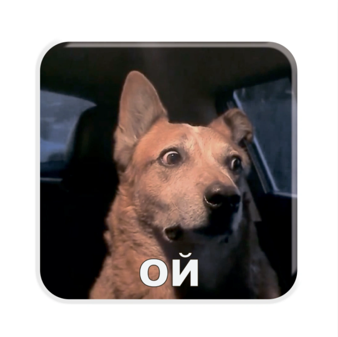 3D стікер «Пес у шоці»