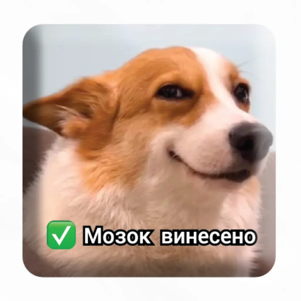Обкладинка "3D стікер «Мозок винесено»"