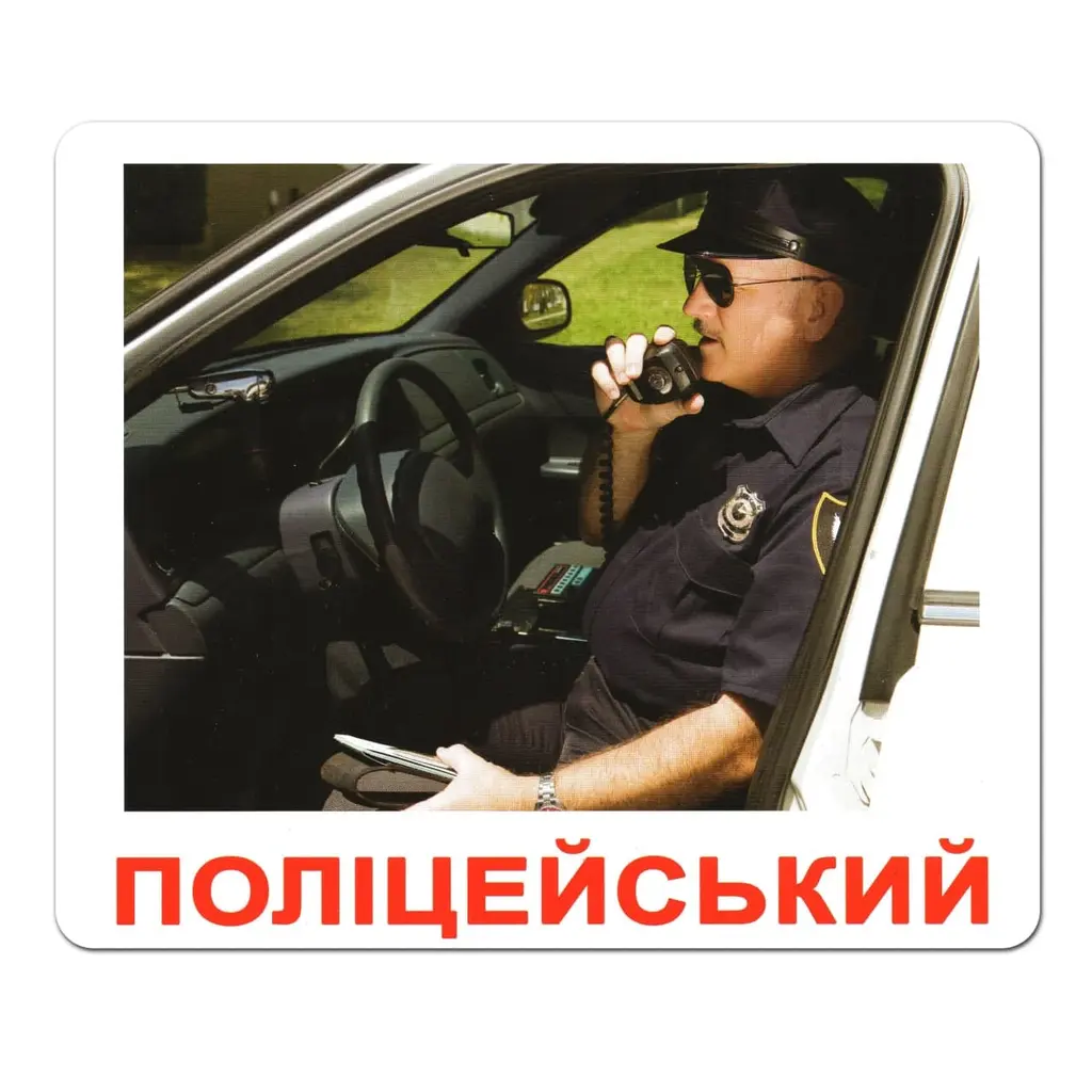 Обкладинка "Ламіновані картки Домана «Професії»"