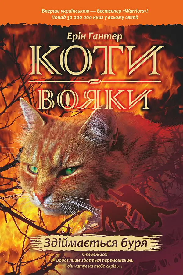 Обкладника "Коти-вояки. Здіймається буря" Обкладинка "Коти-вояки. Здіймається буря"