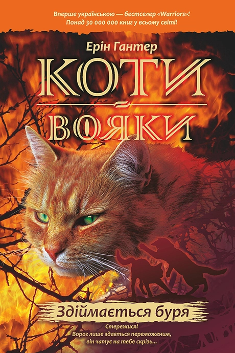 Коти-вояки. Здіймається буря