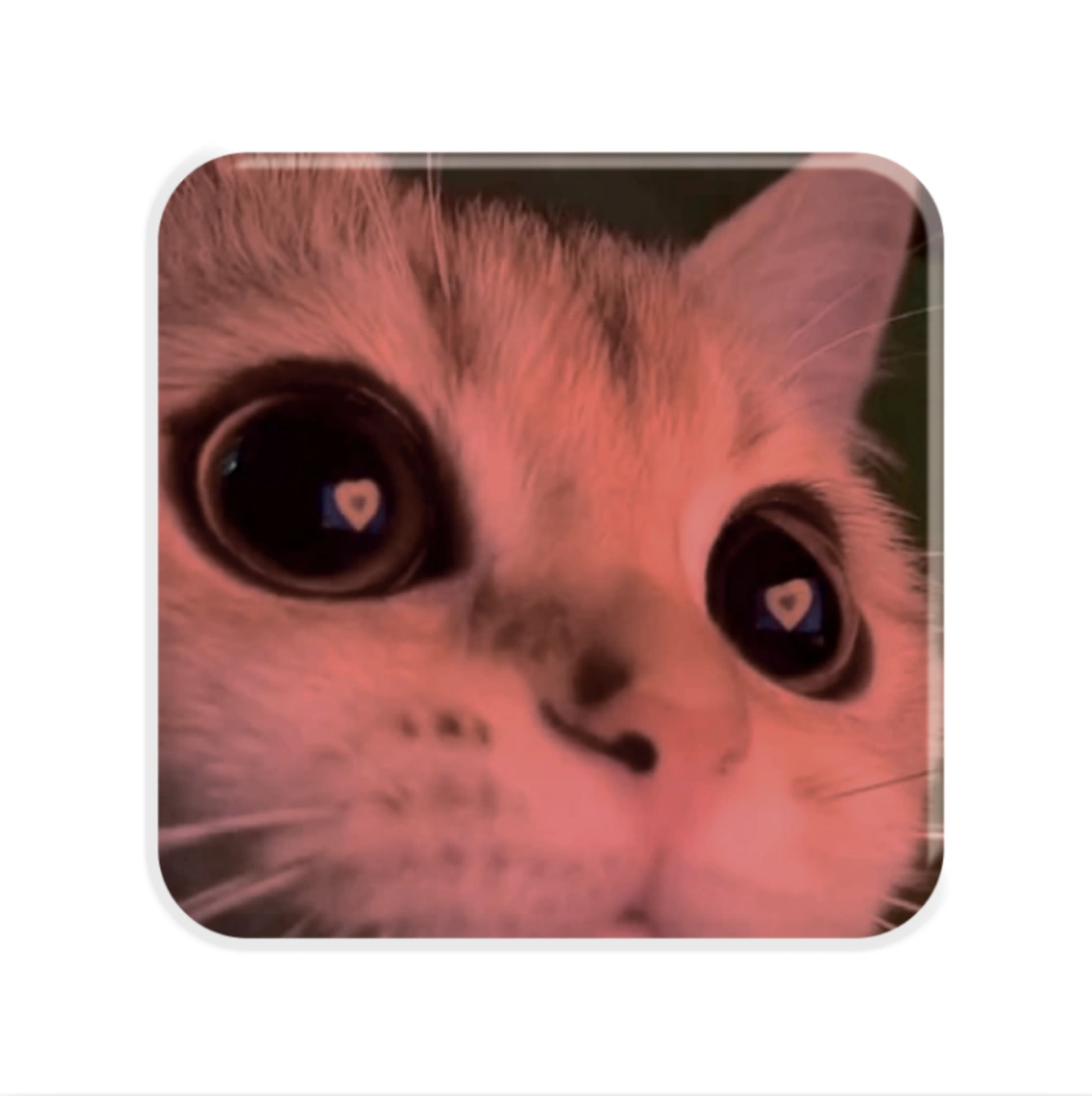 3D стікер «Kitty Love»