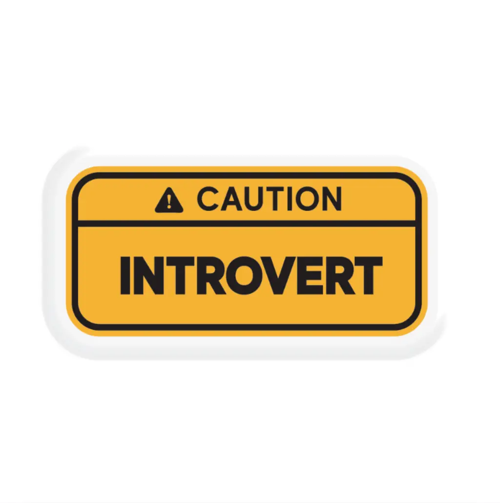Обкладинка "3D стікер «Introvert»"