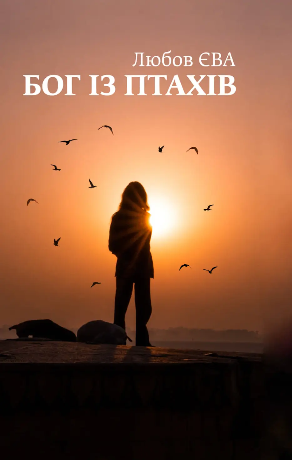 Обкладинка "Бог із птахів"