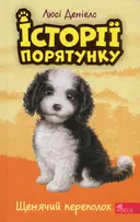 Переглянути уривок