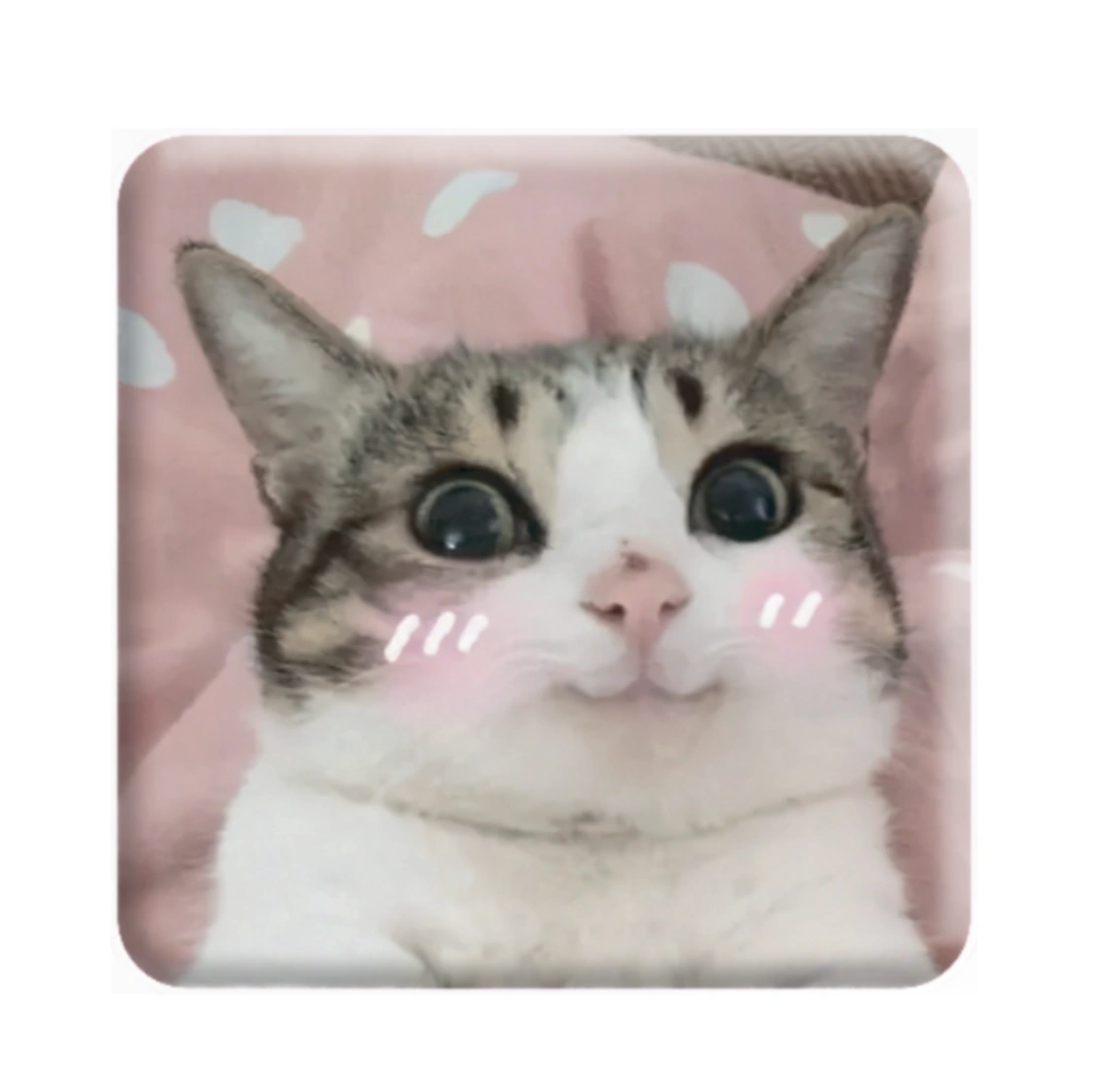 3D стікер «Мем милий котик»