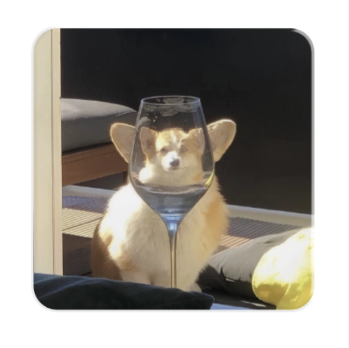 3D стікер «Коргі»