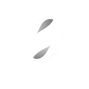 Олександрія — Верес