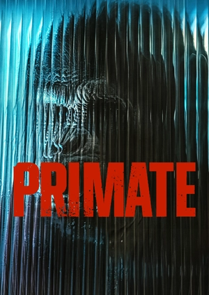 Primate