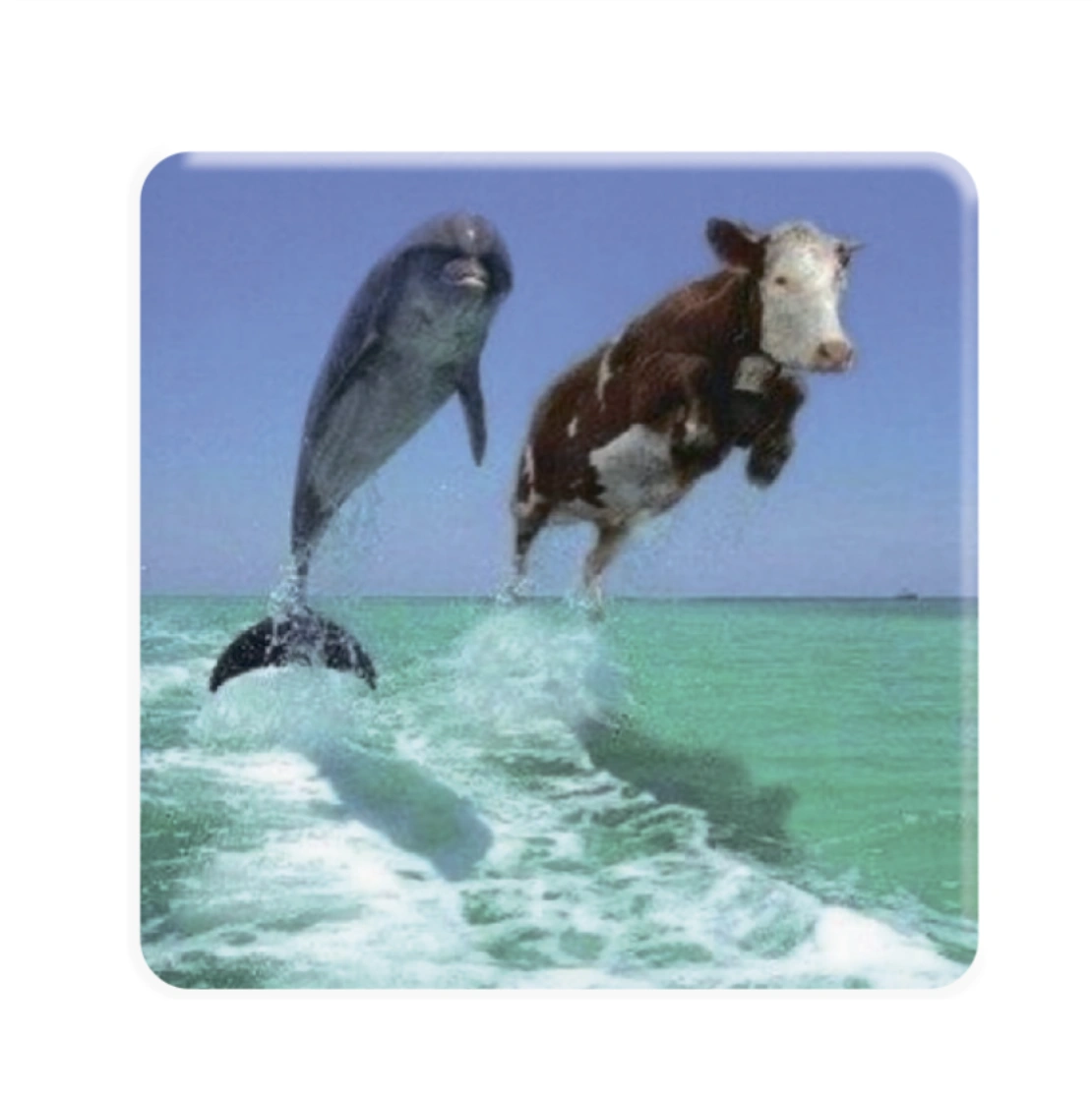 3D-стікер «Два Дельфіна»