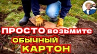 Серія 370